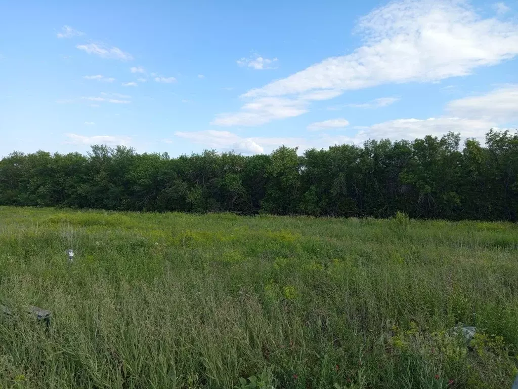 Участок в Оренбургская область, Оренбургский район, с. Подгородняя ... - Фото 2