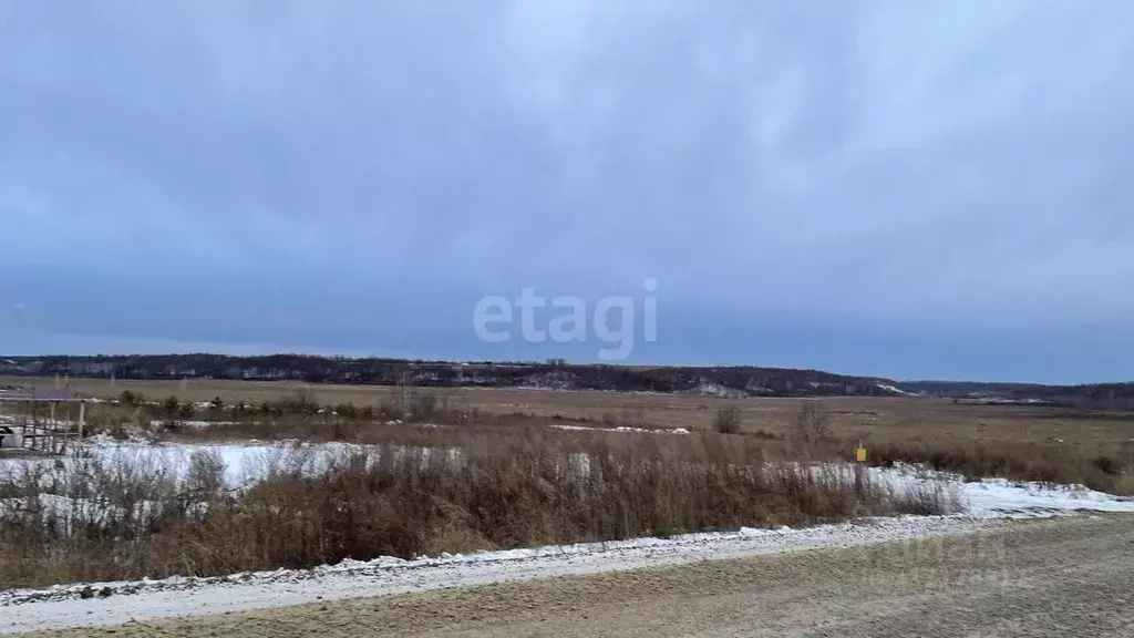Участок в Амурская область, Благовещенский район, с. Кантон-Коммуна  ... - Фото 1