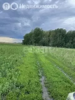 Участок в Тюменский район, Червишевский тракт, 18 километр (8.27 м) - Фото 1