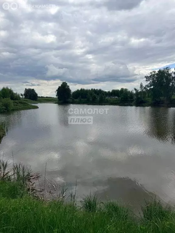 Участок в Московская область, Раменский муниципальный округ, село ... - Фото 1