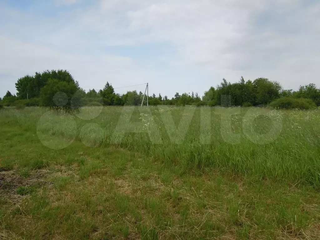 Купить Участок В Гдовском Районе Псковской