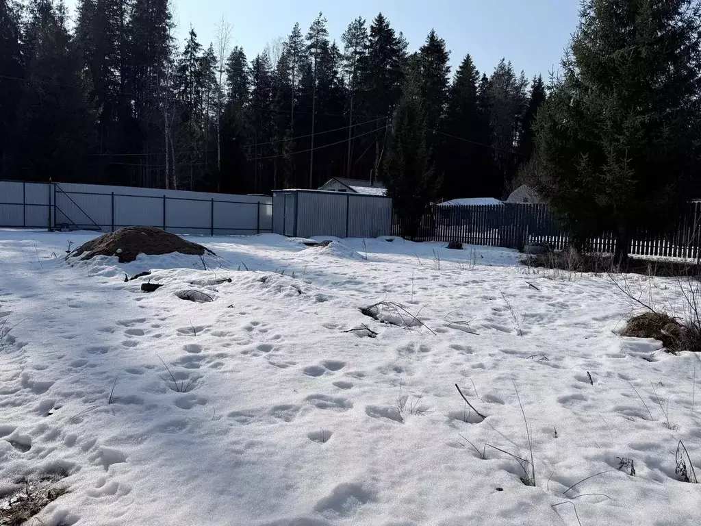 Участок в Ленинградская область, Выборгский район, Рощинское городское ... - Фото 2