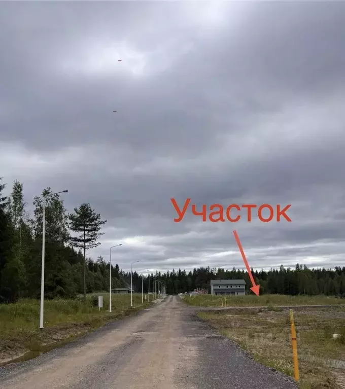 Участок в Ленинградская область, Приозерский район, Раздольевское ... - Фото 1