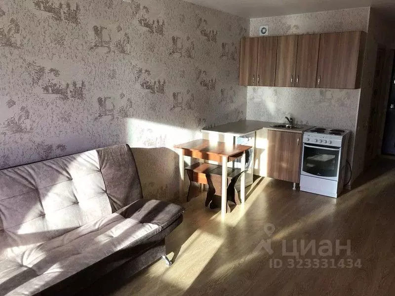 1-к кв. Алтайский край, Барнаул Песчаная ул., 19 (25.0 м) - Фото 1