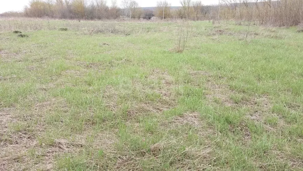 Участок в Белгородская область, Валуйский муниципальный округ, с. ... - Фото 1
