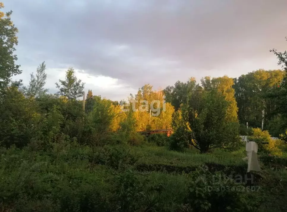 Участок в Новосибирская область, Новосибирск Заря садовое ... - Фото 1
