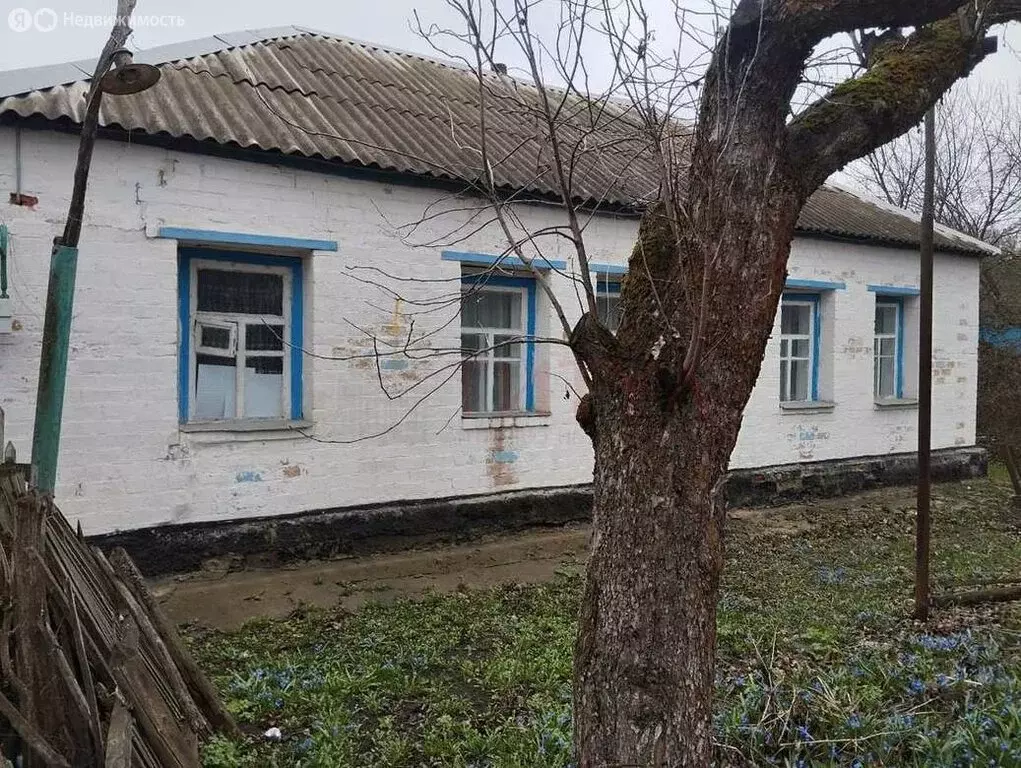 Дом в Городище, Демократическая улица (50 м) - Фото 1