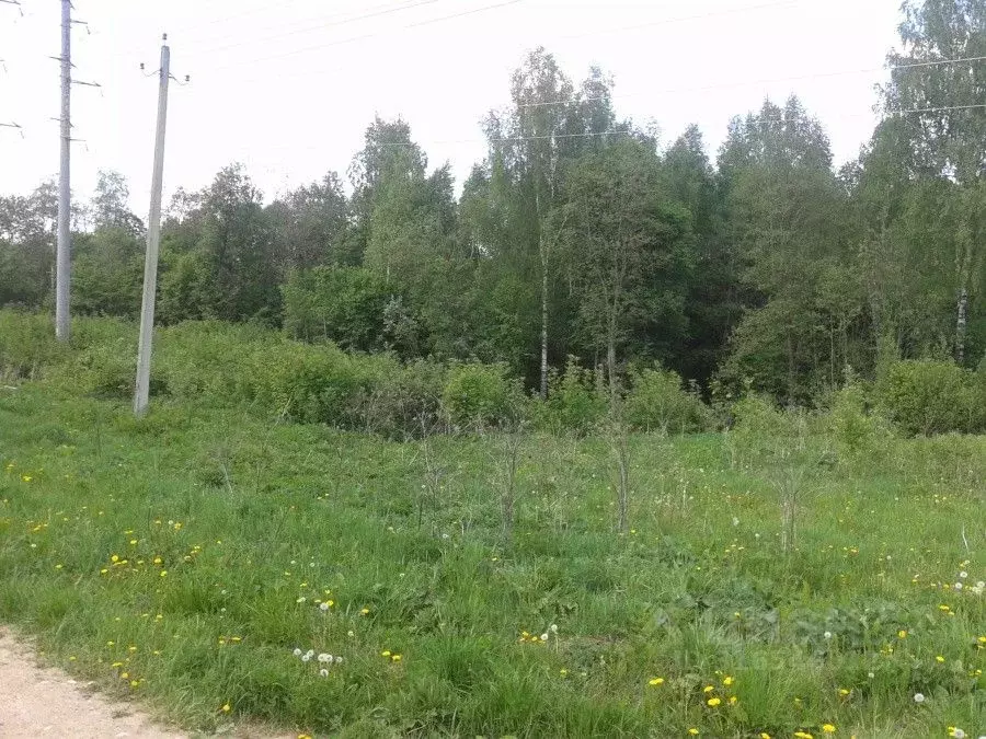 Участок в Московская область, Сергиево-Посадский городской округ, ... - Фото 1