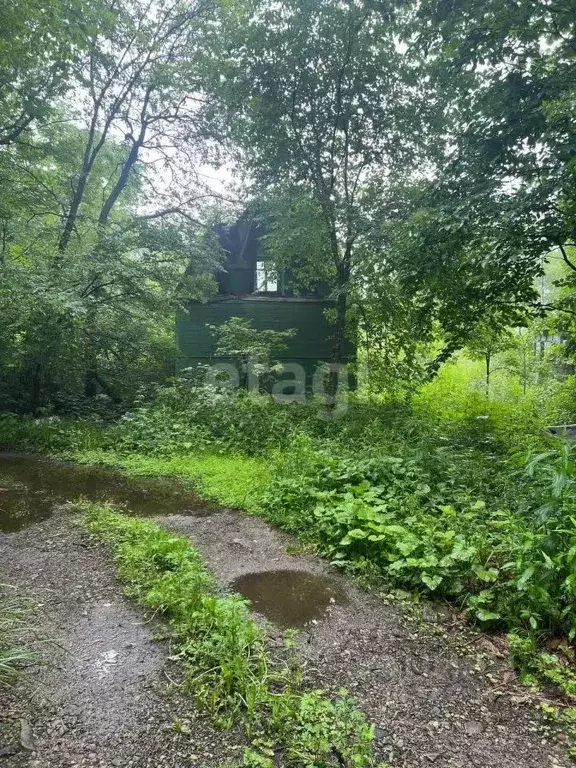 Участок в Приморский край, Надеждинский район, Подводник СНТ  (8.5 ... - Фото 1