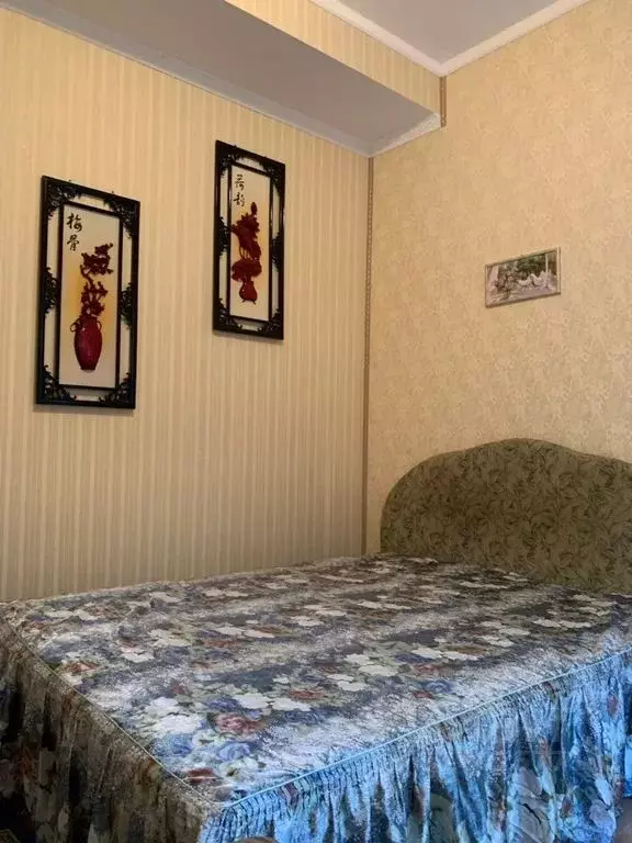 Студия Крым, Алушта муниципальный округ, Партенит пгт ул. Парковая, 5А ... - Фото 2