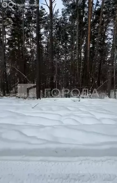 Участок в Новосибирский район, село Барышево (8.68 м) - Фото 2