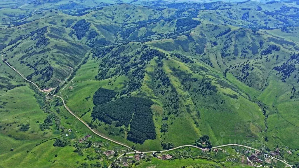 Участок в Алтайский край, Солонешенский район, с. Медведевка  (40000.0 ... - Фото 1