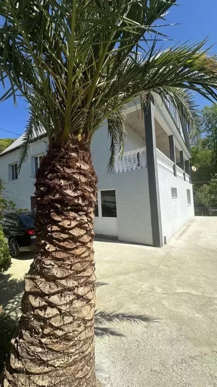 Дом в Краснодарский край, Сочи пос. Лоо, ул. Плодовая, 19 (200 м) - Фото 0