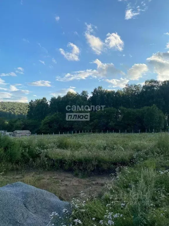 Участок в Челябинская область, Миасский городской округ, с. Черновское ... - Фото 2