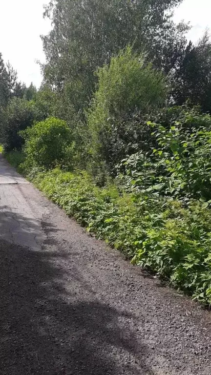Участок в Ленинградская область, Всеволожский район, Лесколовское ... - Фото 1