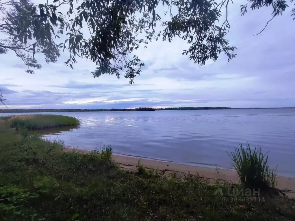 Участок в Тверская область, Кашинский городской округ, д. Перетрясово  ... - Фото 0