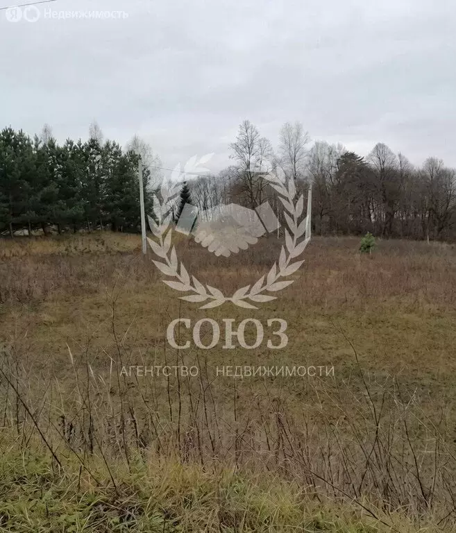 Участок в Калужская область, Боровский муниципальный округ, деревня ... - Фото 1