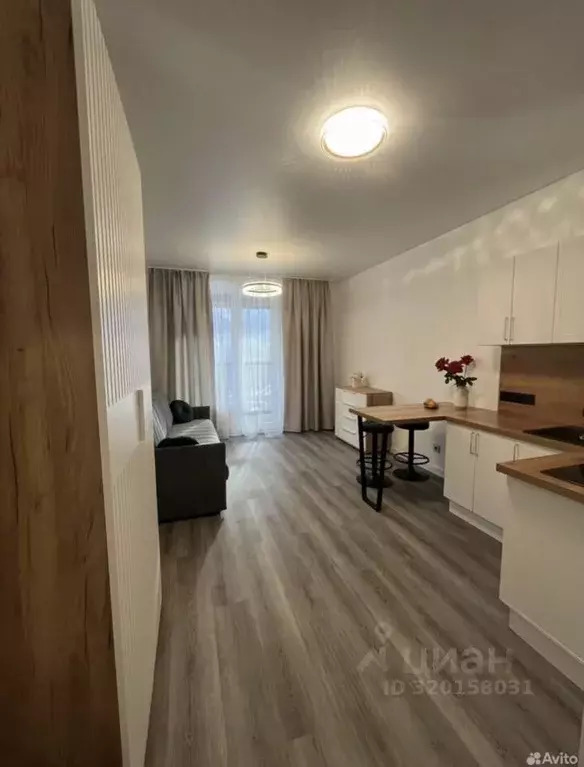 Студия Санкт-Петербург Светлановский просп., 14к1 (24.2 м) - Фото 1