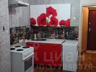 Студия Красноярский край, Красноярск ул. Вильского, 34 (23.0 м) - Фото 1