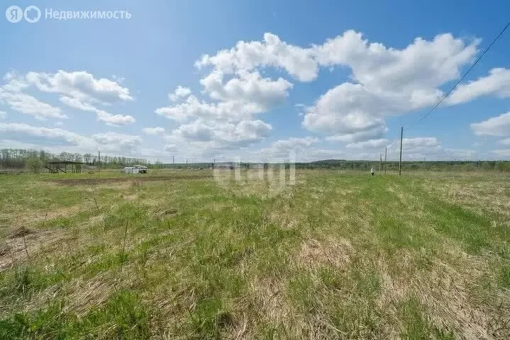 Участок в Пермский муниципальный округ, деревня Большакино (15 м) - Фото 1