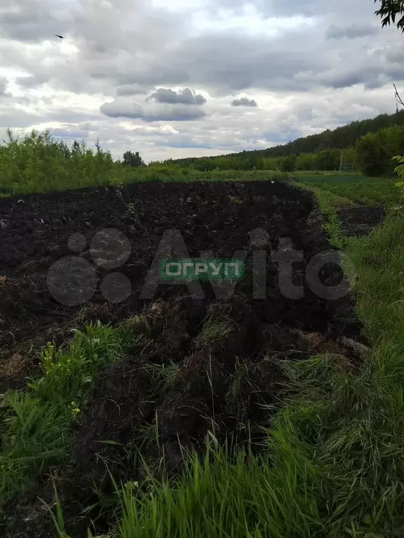 Участок 6 сот. (СНТ, ДНП) - Фото 1