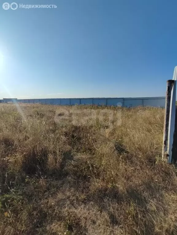 Участок в Репное, 1-й Новый переулок (15 м) - Фото 1