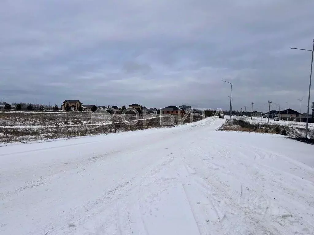 Участок в Тюменская область, Тюменский муниципальный округ, д. Елань ... - Фото 2