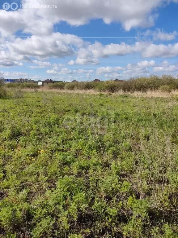 Участок в Пензенский район, Богословский сельсовет, село Богословка (7 ... - Фото 1
