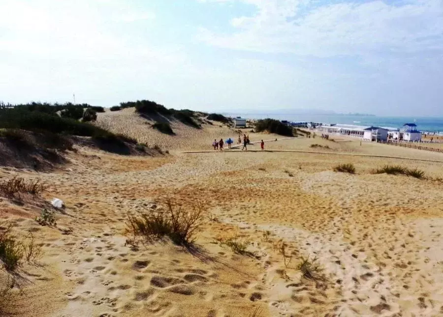 Участок в Краснодарский край, Анапа Пионерский просп. (4.6 сот.) - Фото 2