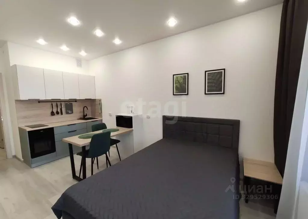 Студия Санкт-Петербург Фарфоровская ул., 7к2 (24.2 м) - Фото 1