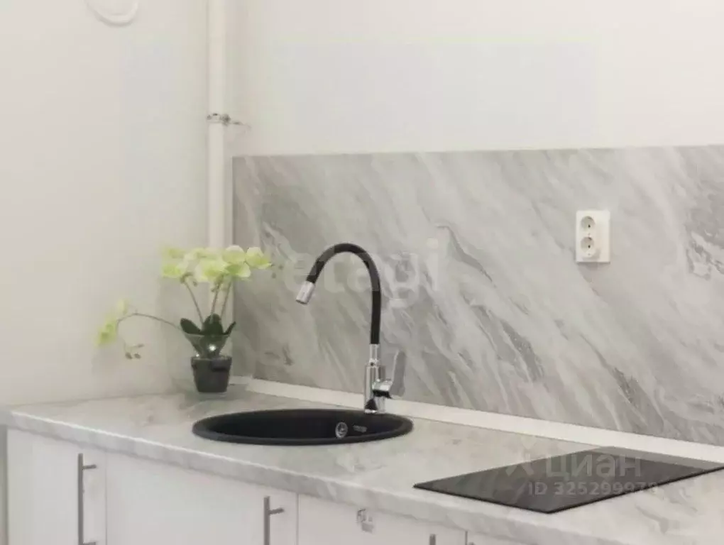 Студия Калининградская область, Светлогорск ул. Молодежная, 1 (23.64 ... - Фото 1