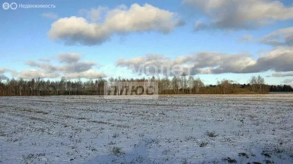 Участок в Александров, 2-я Алексеевская улица, 29 (15 м) - Фото 0