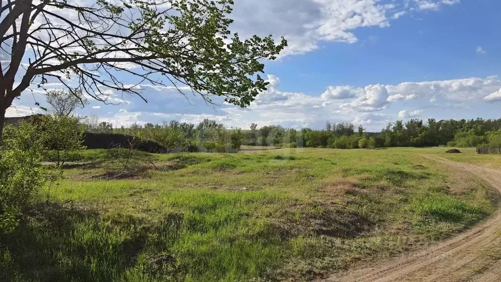 Участок в Белгородская область, Старооскольский городской округ, с. ... - Фото 0