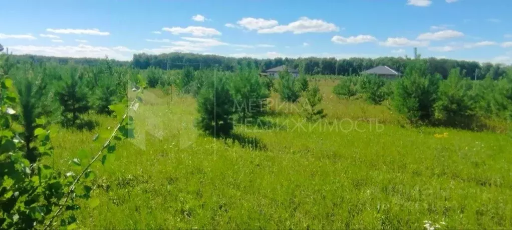 Участок в Тюменская область, Тюменский муниципальный округ, с. Кулига ... - Фото 1