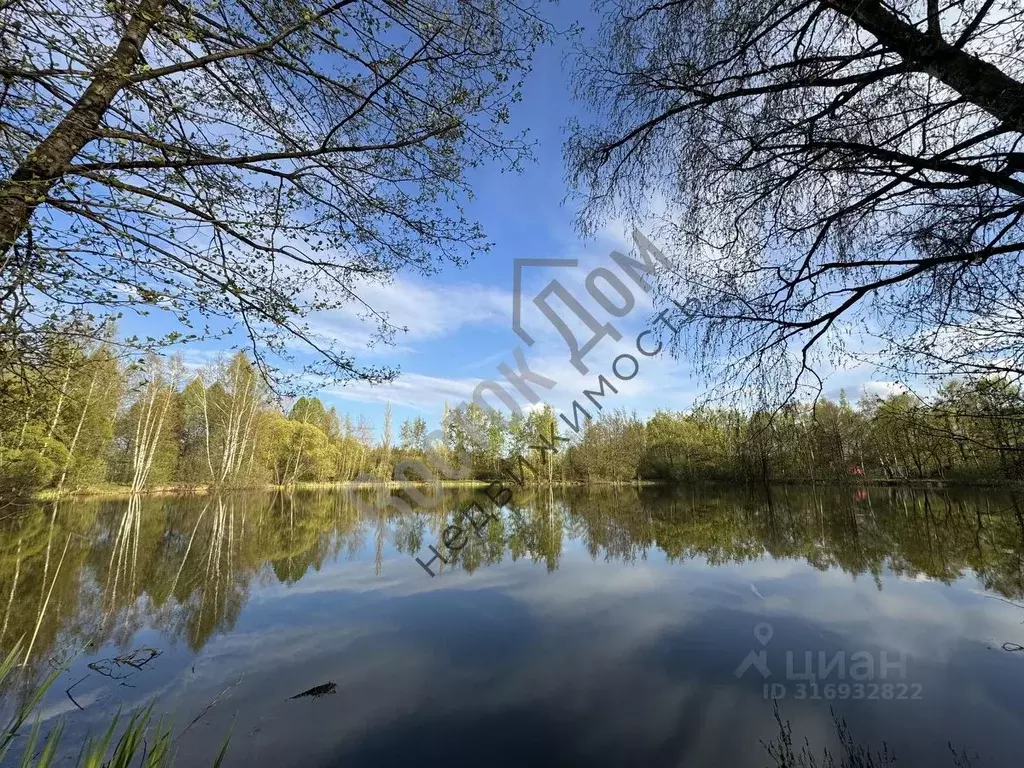 Участок в Московская область, Богородский городской округ, Мир СНТ 211 ... - Фото 0