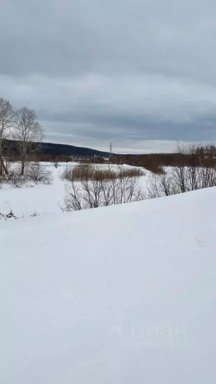 Участок в Тульская область, Ясногорский район, Ревякинское с/пос, с. ... - Фото 2
