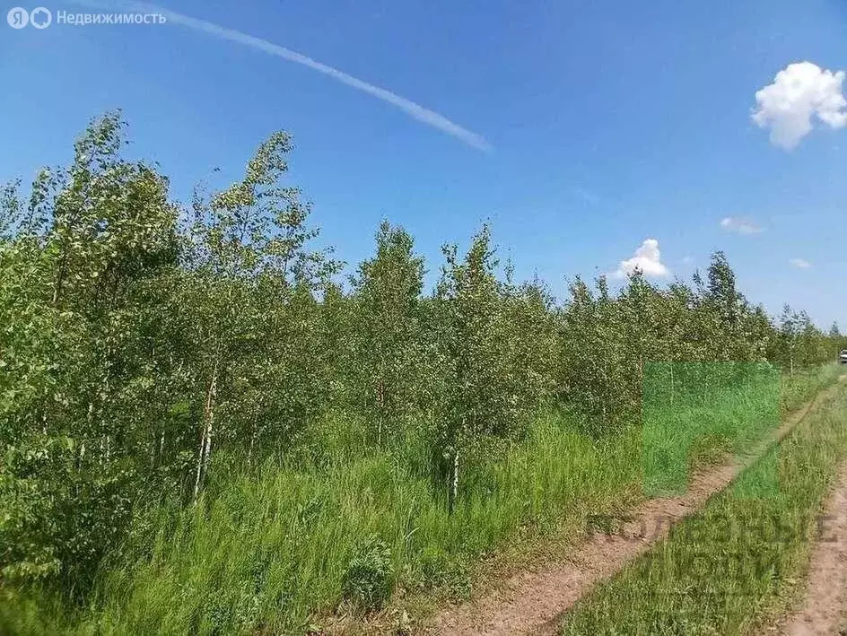 Участок в Медведевский район, Азяковское сельское поселение, деревня ... - Фото 2