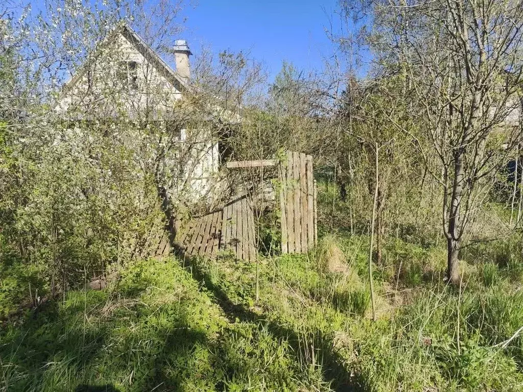 Участок в Ленинградская область, Кировский район, Синявинское ... - Фото 1