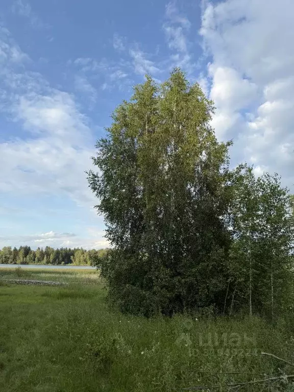 Участок, 5034 сот., сельхоз (снт или днп) - Фото 0