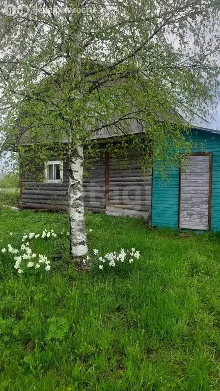 Дом в Вологодская область, Шекснинский муниципальный округ, деревня ... - Фото 1