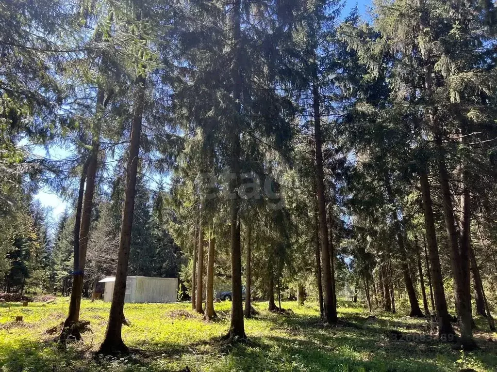 Участок в Московская область, Дмитровский муниципальный округ, д. ... - Фото 2