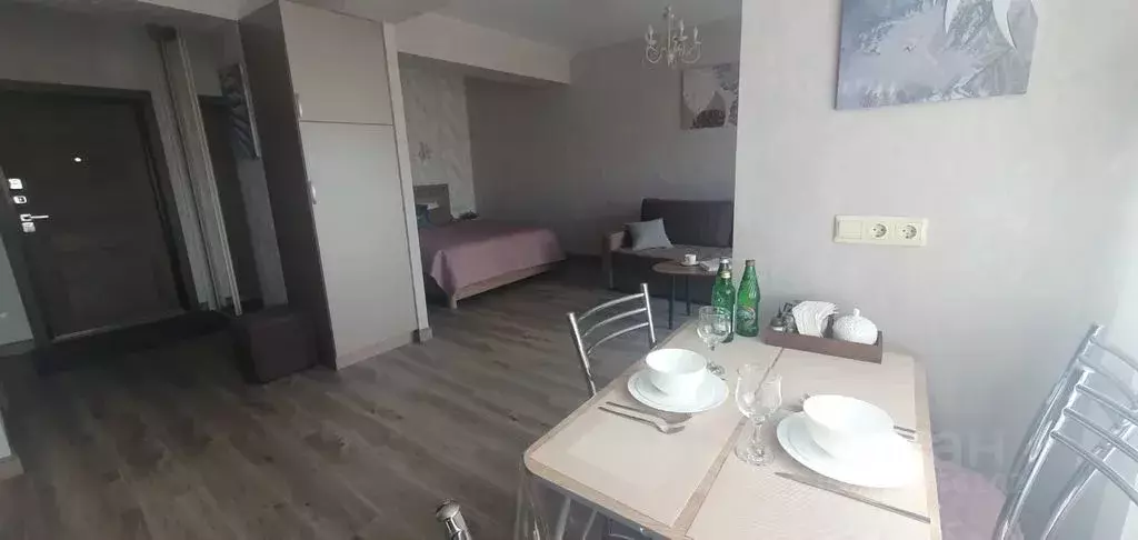 Студия Ставропольский край, Кисловодск Коллективная ул., 11 (40.0 м) - Фото 2