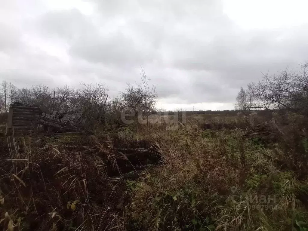 Дом в Псковская область, Островская волость, д. Карпово ул. ... - Фото 1