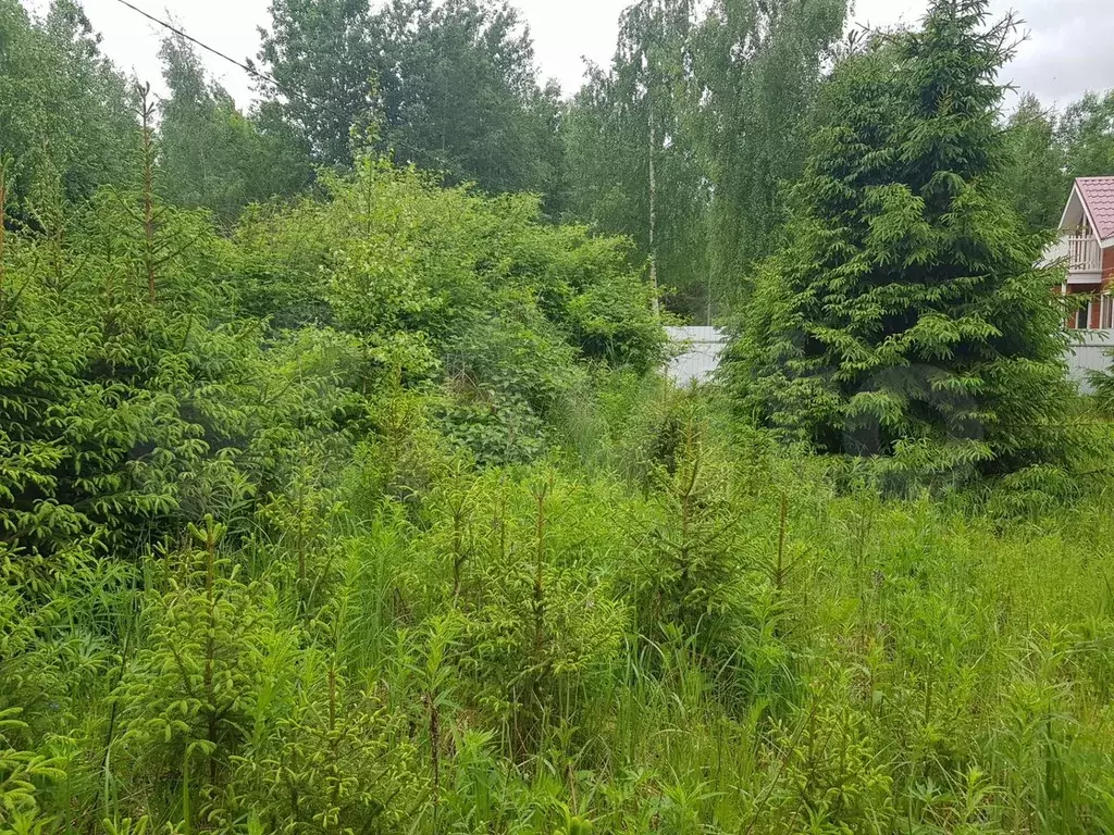 Участок 9 сот. (СНТ, ДНП) - Фото 1