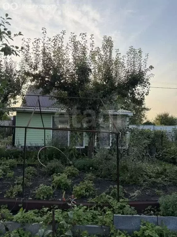 Дом в Липецк, СНП Мечта, 16-я линия (20 м) - Фото 1