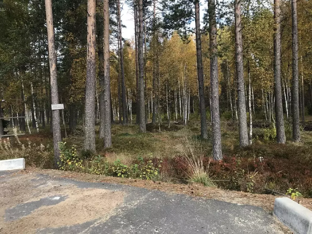 Коттедж в Ленинградская область, Приозерский район, Раздольевское ... - Фото 0