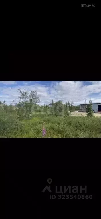 Участок в Ямало-Ненецкий АО, Салехард Радужный мкр, ул. Александра ... - Фото 2