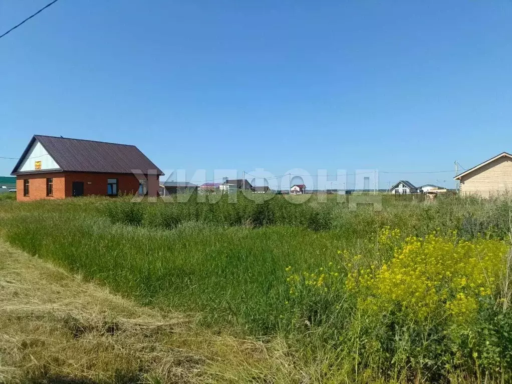 Участок в Новосибирская область, Новосибирский район, Толмачевский ... - Фото 0