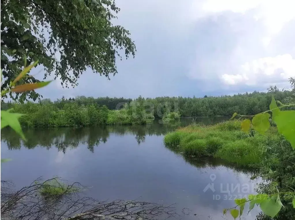 Участок в Татарстан, Зеленодольский район, Айшинское с/пос, Лесной ... - Фото 1