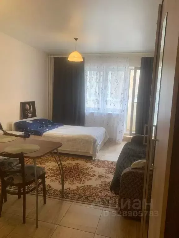 Студия Московская область, Лосино-Петровский ул. Пушкина, 8 (30.0 м) - Фото 1